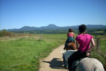 © Equestrian Centre - Les Écuries d'Ambur - Damase / CRTE