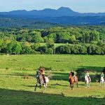 © Equestrian Centre - Les Écuries d'Ambur - LES ECURIES D4AMBUR