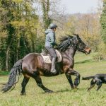 © Horse riding - La Ferme de la Marinette - jem jem go