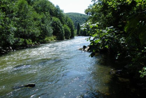 Camping des Tarteaux