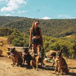 © Pension canine Ferme équestre Jolinka - Ferme équestre Jolinka