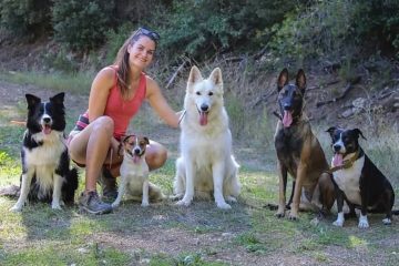 © Pension canine Ferme équestre Jolinka - Ferme équestre Jolinka