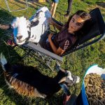 © The little farmer - apprentice breeder - Ferme équestre Jolinka