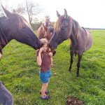 © The little farmer - apprentice breeder - Ferme équestre Jolinka