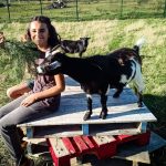 © The little farmer - apprentice breeder - Ferme équestre Jolinka