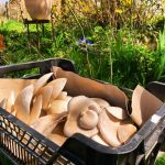 © The gourmet barn - La grange gourmande