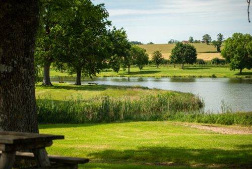 Picnic area - Plan d'Eau de la Loge