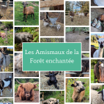 © Educational farm - Les Amismaux de la forêt enchantée - CAPAROS