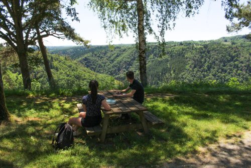 Picnic area - Belvédère des Ancizes