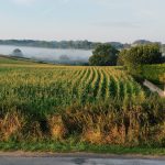 © Beautiful countryside in Auvergne - MDO