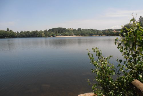 Picnic area - Plan d'Eau de Saint-Eloy-les-Mines
