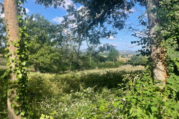 © Gîte le Puy-de-Dôme - Sophie BOSDEVEZY