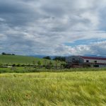 © Brewery NK - Rbln