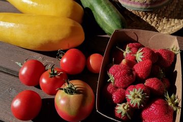 © Gardens of Saint Maigner - Blanchard