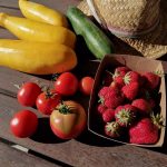 © Gardens of Saint Maigner - Blanchard