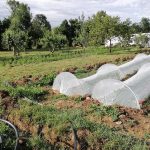 © Gardens of Saint Maigner - Blanchard