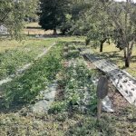 © Gardens of Saint Maigner - Blanchard