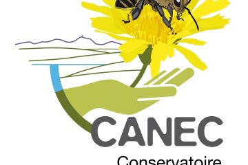 © honey house - CANEC