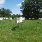 © honey house - CANEC