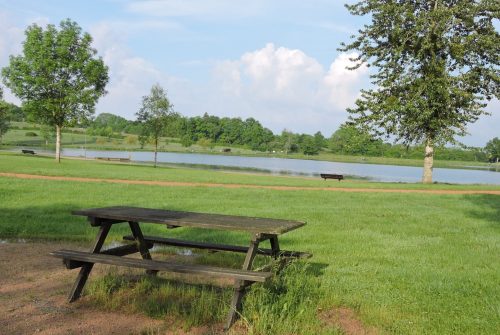 Picnic area - L'Etang Philippe