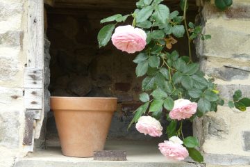 © Suites de Campagne® - M.C Mercier