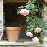 © Suites de Campagne® - M.C Mercier