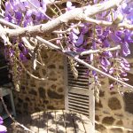 © Suites de Campagne® - M.C Mercier