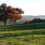 © Suites de Campagne® - M.C. Mercier