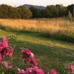 © Suites de Campagne® - M.C.Mercier