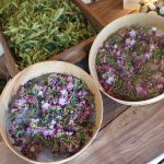 © Suites de Campagne® - M.C.Mercier