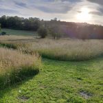 © Suites de Campagne® - M.C.Mercier