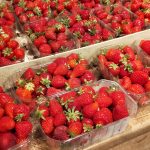 © Suites de Campagne® - M.C.Mercier