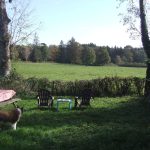 © Mini Camping Les Fayes - Jansen Rosalinda