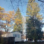 © Camping du lac Confolant_Miremont - Camping