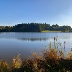 © Domaine du Balbuzard - Gîtes - Domaine du Balbuzard