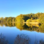 © Domaine du Balbuzard - Gîtes - Domaine du Balbuzard