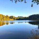 © Domaine du Balbuzard - Gîtes - Domaine du Balbuzard