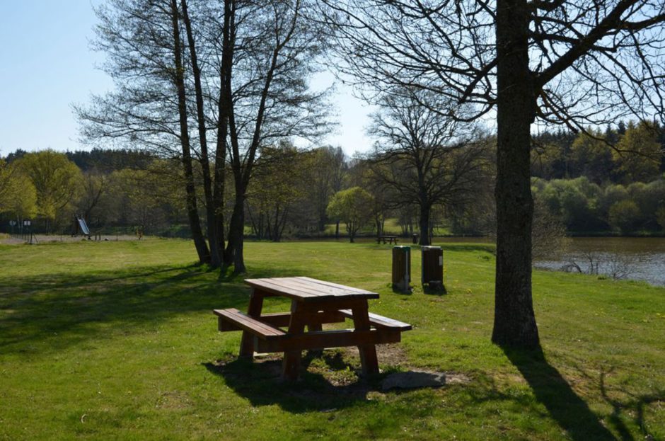 © Picnic area - Etang Magaud - Mairie St Angel