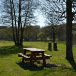 © Picnic area - Etang Magaud - Mairie St Angel