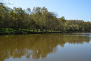 © Picnic area - Etang Magaud - Mairie St Angel