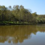 © Picnic area - Etang Magaud - Mairie St Angel