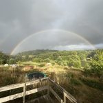 © Gîte Le Marron - Christine Zwart