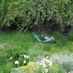 © Gîte Les 3 clochers - Braun D.