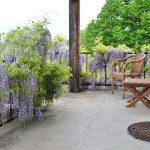 © Gîte Les 3 clochers - Braun D.