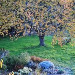 © Gîte Les 3 clochers - Braun D.