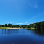 © Fishing site - Plan d'Eau Béal des Roziers - Mme Sibot