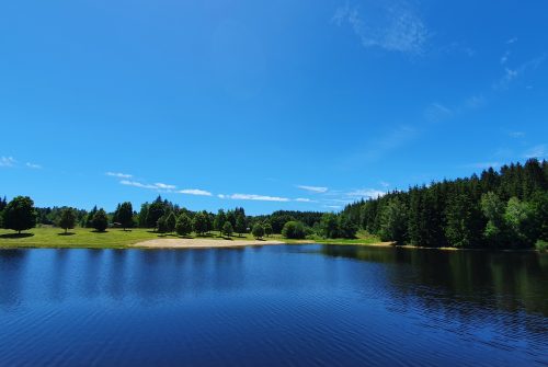 Fishing site - Plan d'Eau Béal des Roziers