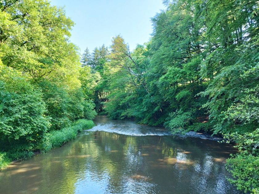 © Fishing site - Rivière Le Sioulet_Pontaumur - OTC