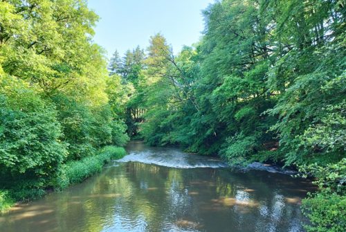 Fishing site - Rivière Le Sioulet