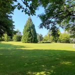 © A l'Orée du Parc - Espaignet